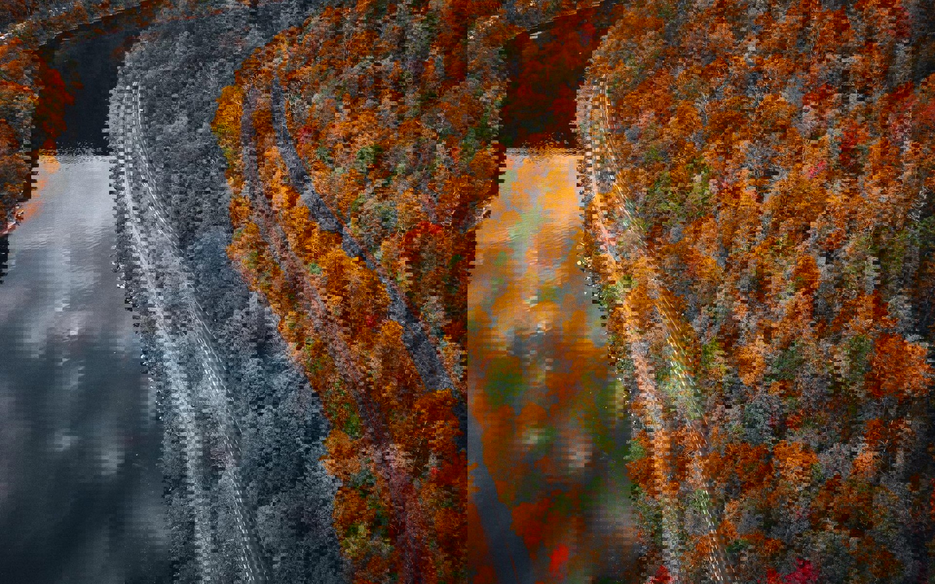 Landscape Road Forest Covered Yellowing Trees Surrounded By Lake 181624 60651